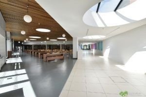 Ventajas y desventajas de la luz natural o luz día en diferentes ambientes 4 luz natural beneficios