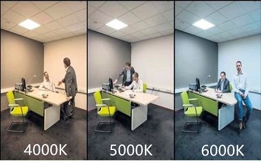 Cómo elegir la mejor bombilla LED para cualquier parte de tu hogar 2 iluminacion en oficinas 1